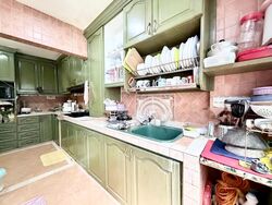 Blk 205B Compassvale Place (Sengkang), HDB Executive #564742761